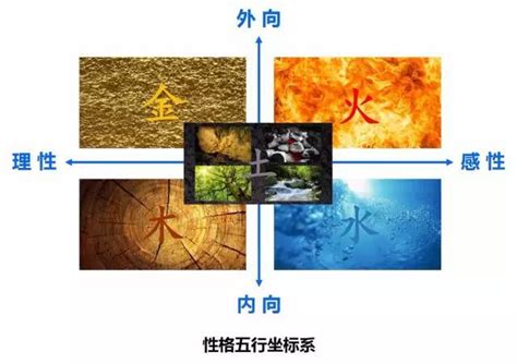 五行特質|金木水火土五行理論解析人的體態、性格特徵，助你識。